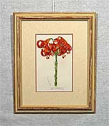 Печать на бумаге «Лилии» 23,4х15,0
(рамка деревянная, стекло антибликовое, оргалит, установка работы в раму, двойное паспарту, двойной вырез окна в паспарту)
